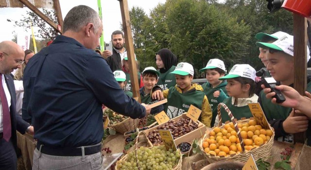 Ormanyada üretilen kızıl geyikler doğaya salındı