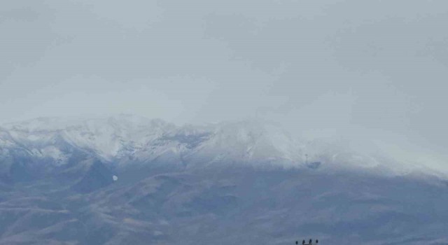 Süphan Dağına mevsimin ilk karı yağdı