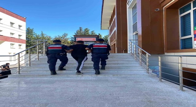 Yalovada 15 yıl hapis cezası nedeniyle aranan hükümlü yakalandı
