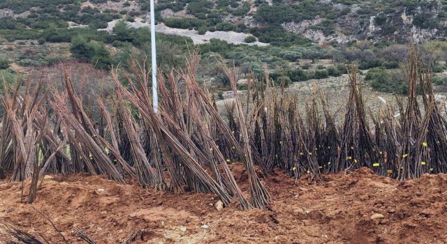 Yangında kovanları yanan arıcılara Büyükşehirden malzeme desteği