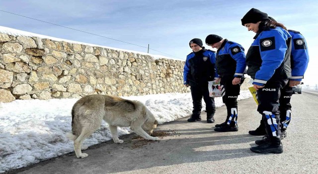 Yüksekovada Başkomiser Selman Beğdenin ilçeden ayrılması sevenlerini üzdü
