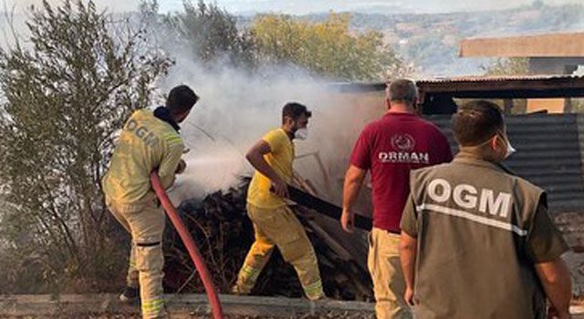 Adana'da Çıkan Orman Yangını Kontrol Altına Alındı