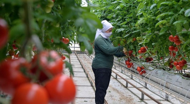 Anadolu coğrafyasının Beyaz Altını jeotermal