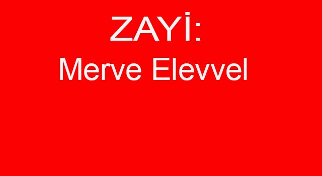 B Sınıfı Ehliyet Zayi İlanı