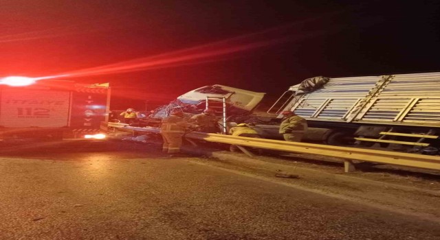 Bandırmada yoldan çıkan kamyon tabelaya çarptı: 1 yaralı