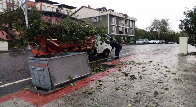 Başiskelede çevre kirliliğine izin verilmiyor