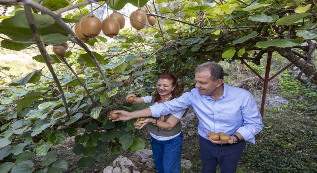 Başkan Seçer, Kivi Şenliğine katıldı