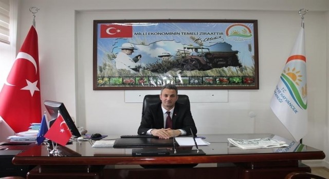 Bilecikte çitçilerin kahverengi kokarca paniği