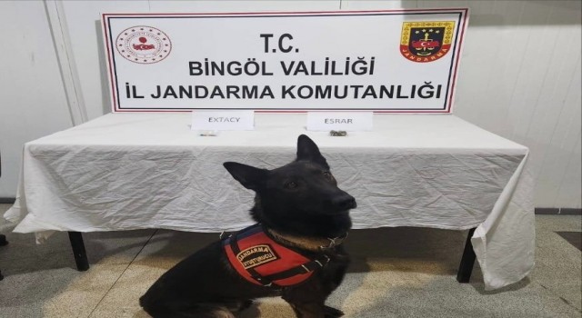 Bingölde jandarma ekipler suçlulara göz açtırmıyor