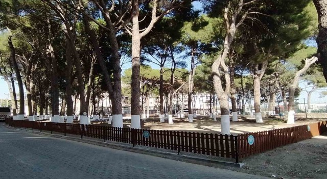 Büyükşehir tescilli tarihi Muradiye Mezarlığına sahip çıktı