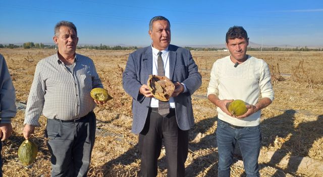 CHP'li Gürer: "Üreticiye Sahip Çıkın, Çiftçi Tarlada Zarar Ediyor"