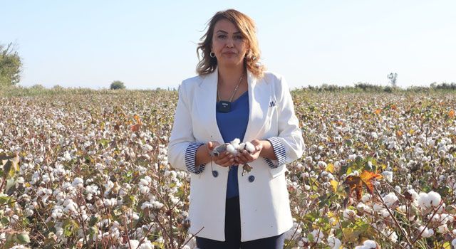 CHP’li Kara: “Önlem Alınmazsa ‘Beyaz Altın’ın Sadece Adı Kalır”