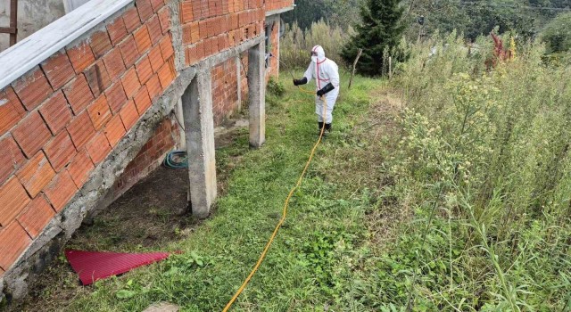 Doğu Karadenizin en büyük ilçesi olan Ortahisarda kahverengi kokarca ile mücadelede ilaçlama seferberliği başlatıldı