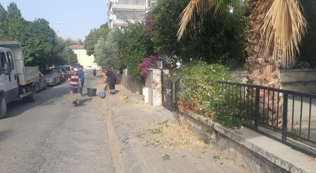Efelerde temizlik ve bakım çalışmaları hız kesmiyor