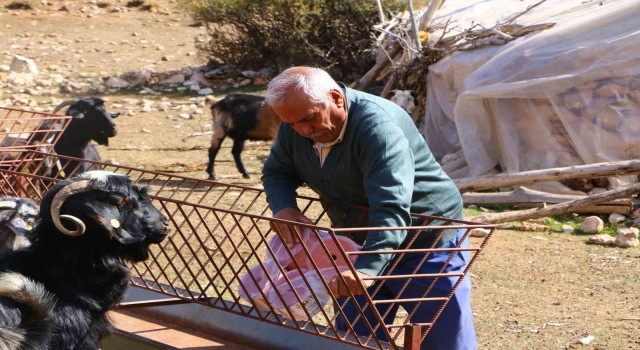 Elmalıda Çoban Haritası Projesi tamamladı