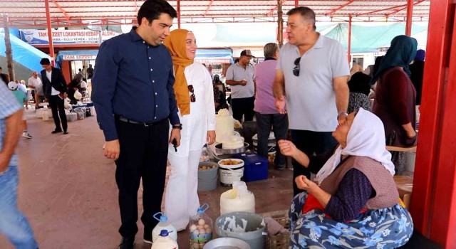 Kamanda Ceviz Festivali hazırlıkları tmamlandı