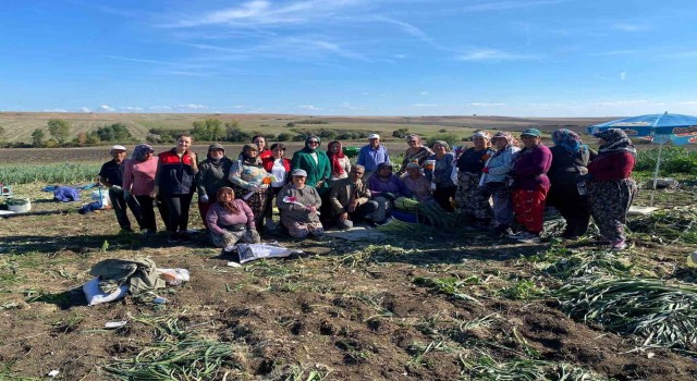 Kırklarelinde Dünya Kadın Çiftçiler Günü tarlada kutlandı