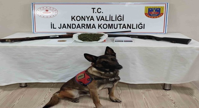 Konyada jandarma ekiplerinden uyuşturucu operasyonu