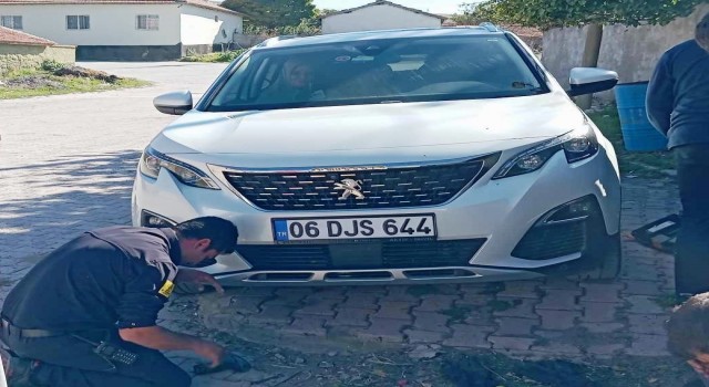 Konyada otomobilin motoruna sıkışan kedi kurtarıldı