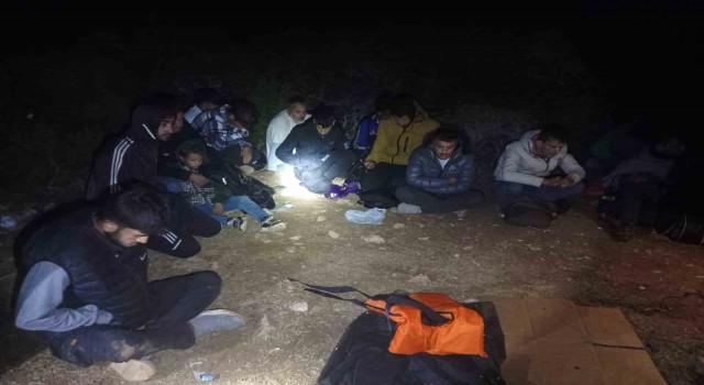 Makilik alana gizlenen 25 düzensiz göçmen yakalandı