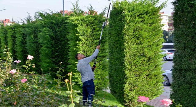 Meramın park ve bahçelerine kış bakımı