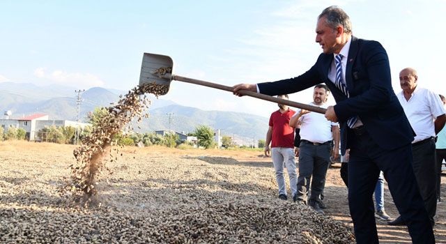 Osmaniye Yer Fıstığı Festivali'ne Geri Sayım Başladı