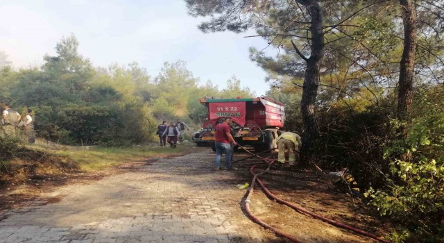 Osmaniye'de orman yangını başladı