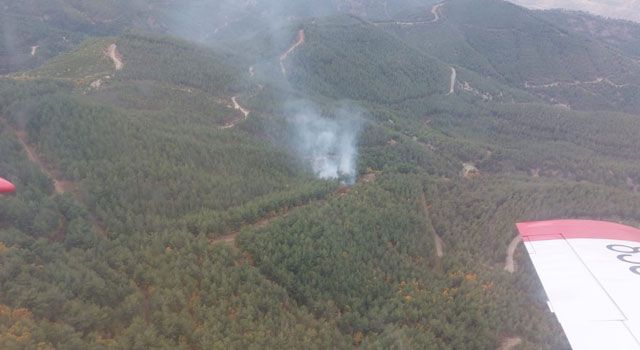 Osmaniye’de Orman Yangını Kontrol Altına Alındı