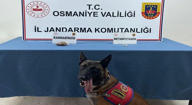 Osmaniye'de Uyuşturucu Operasyonu: 1 Kişi Tutuklandı