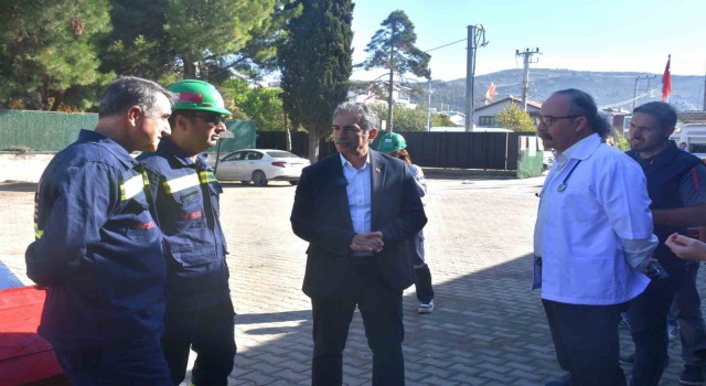 Patili canlar Gemlik Belediyesinin koruma altında