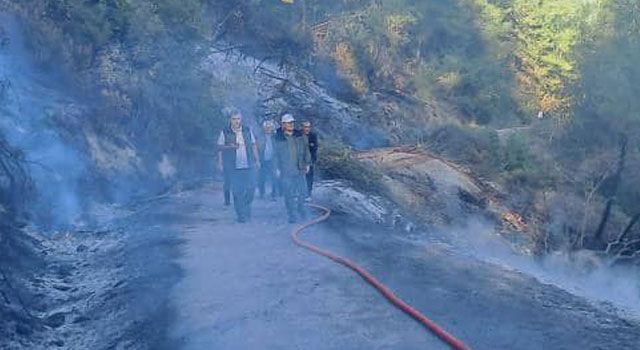 Savrun Ormanı'nda Çıkan Yangın Hızlı Müdahale ile Kontrol Altına Alındı