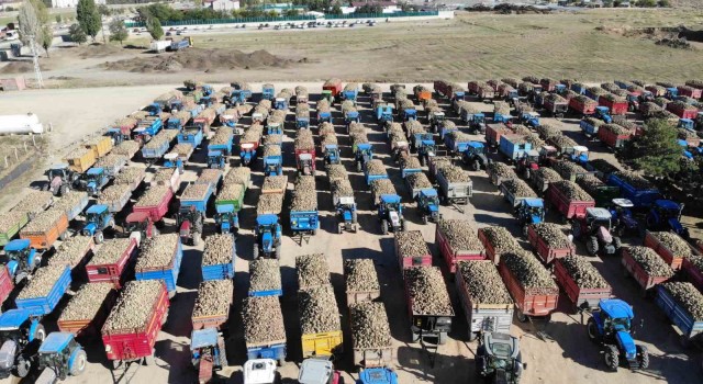 Şeker pancarının tarladan sofraya uzanan tatlı yolculuğu