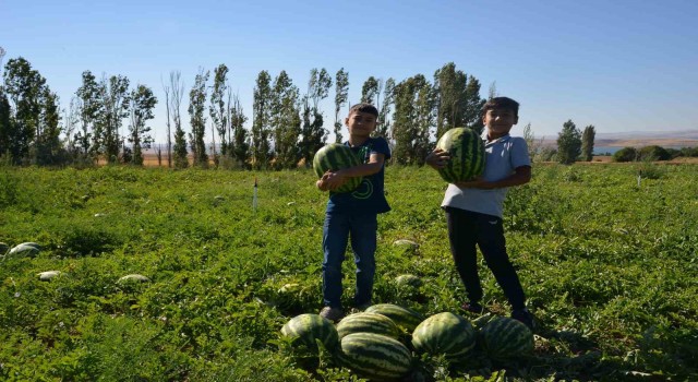 Toprak: Kırşehirde her ilçe ayrı ayrı üretim havası olacak
