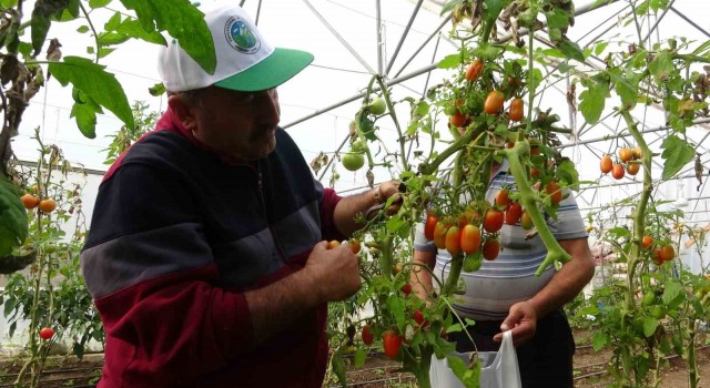 Yavuzkemal Beldesinden örnek tarım projesi