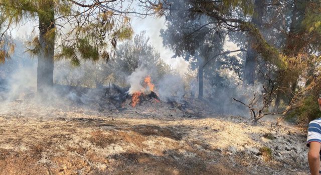 Akyar Köyü’nde Yangın Büyümeden Söndürüldü