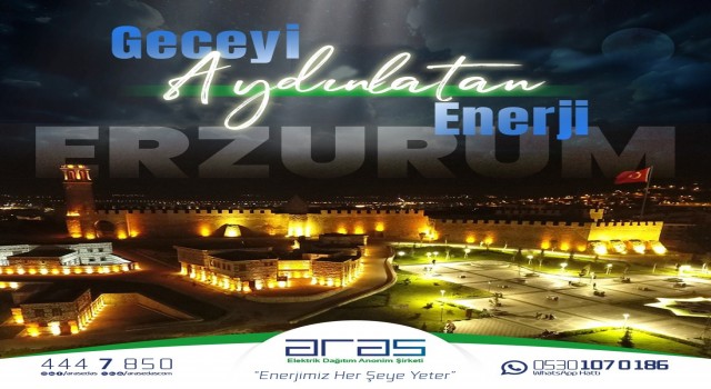 Aras Elektrikten rekor sürede enerji arzı