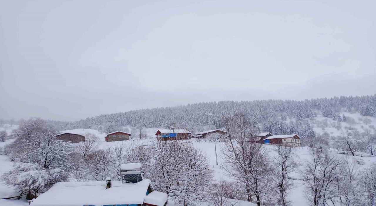 Artvinde kar kalınlığının 1 metreyi bulduğu köyde gece gündüz çatı temizleniyor