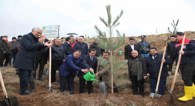 DATÜB Ahlatta ‘Hatıra Ormanı oluşturdu