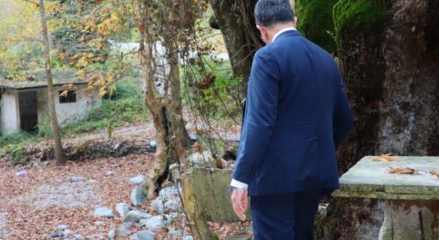 Dörtyol Belediyesi, Beşikgöl Mesire Alanı’nı Yenilemek İçin Harekete Geçti