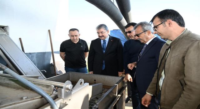 Ellek 30 Kasım'da Yapılacak Zeytin Festivali'ne Hazırlanıyor