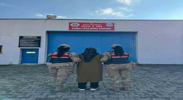 Erzurumda FETÖ/PDY operasyonu