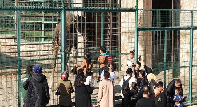 Gaziantep Doğal Yaşam Parkı Tatilde Dolup Taştı!