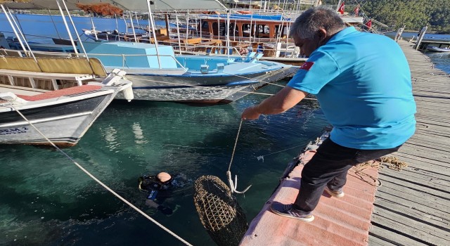 Gökova Körfezinde yasa dışı avcılığa geçit yok