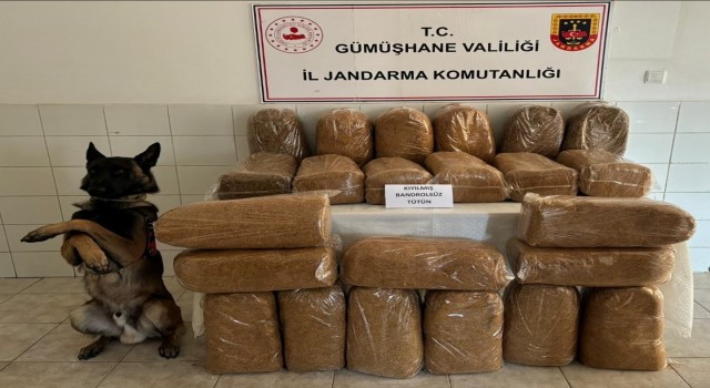 Gümüşhanede 138 kilogram kaçak tütün ele geçirildi