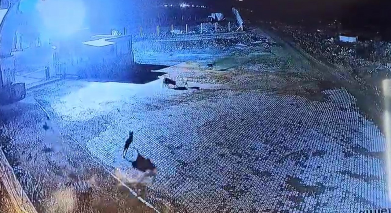 Gümüşhanede aç kalan kurt sürüsü bekçi köpeğini parçaladı