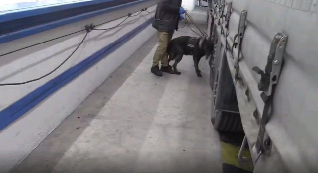 Hamzabeyli Sınır Kapısında 17 kilogram kokain yakalandı