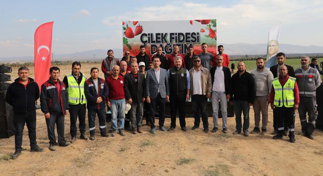 Hatay Büyükşehir Belediyesi’nden Çilek Üreticilerine Destek
