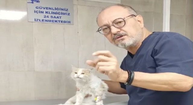 Havalı Tüfekle Vurulan Yavru Kedi Ameliyat Edildi
