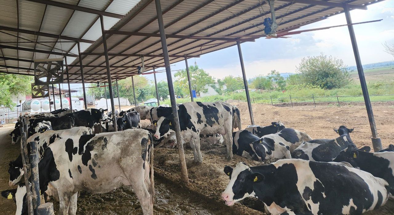 İl Tarım ve Orman Müdürlüğü’nden Yetiştiricilere Uyarı