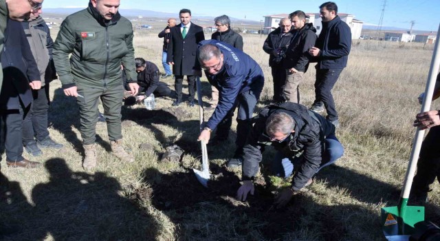 Karsta fidanlar toprakla buluştu